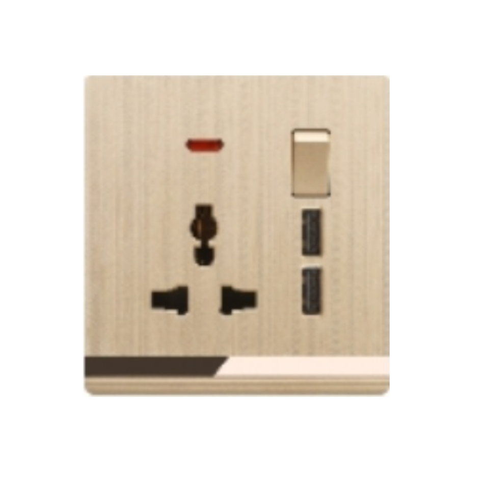 SINGLE MF SOCKET WITH 2 USB V5-036