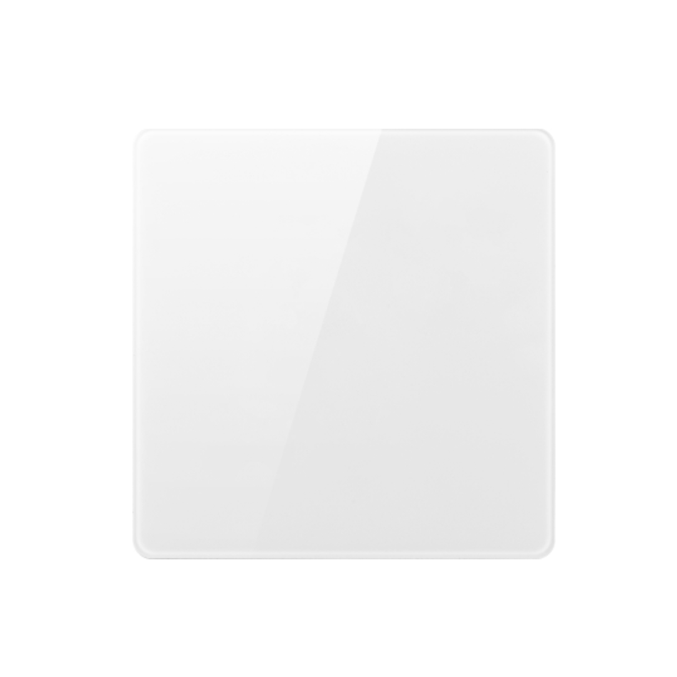 1 GANG 2 WAY PLATE SWITCH V6-002