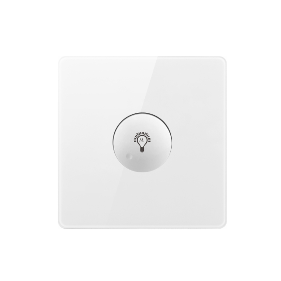 LIGHT DIMMER SWITCH V6-021
