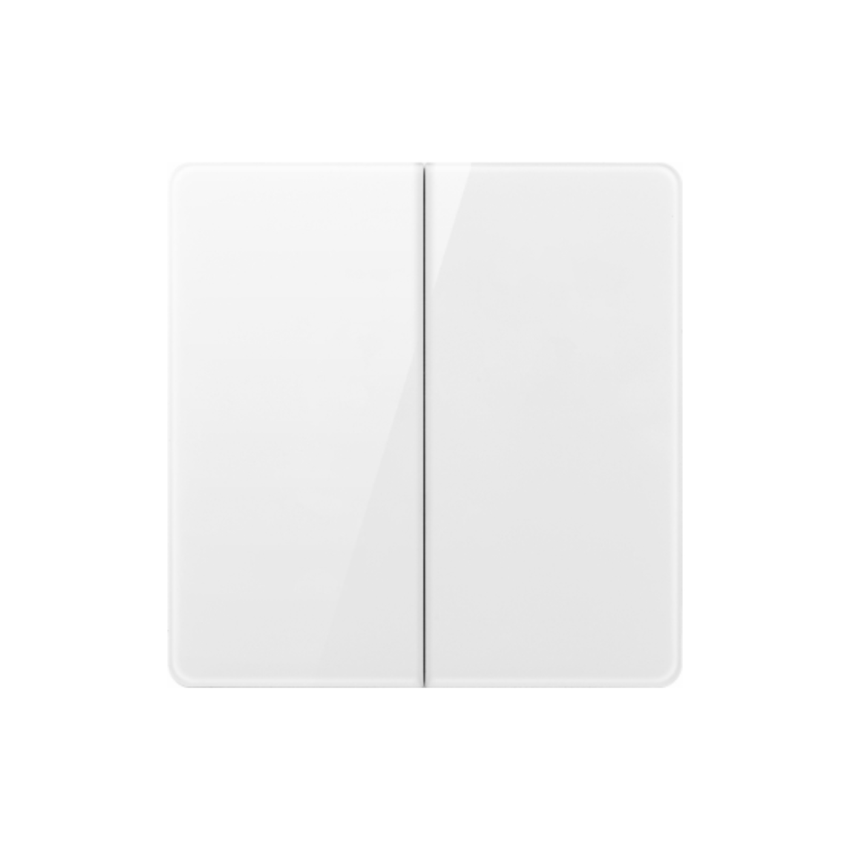 2 GANG 2 WAY PLATE SWITCH V6-004