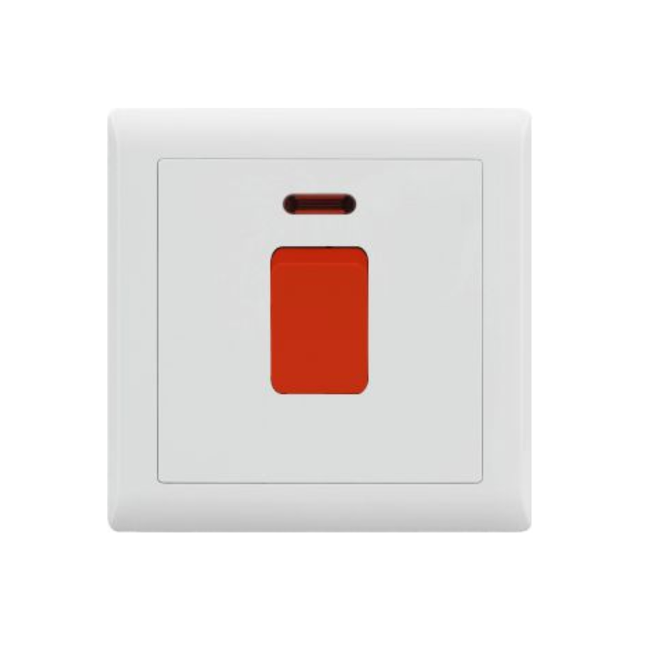 25 A SWITCH D1-010