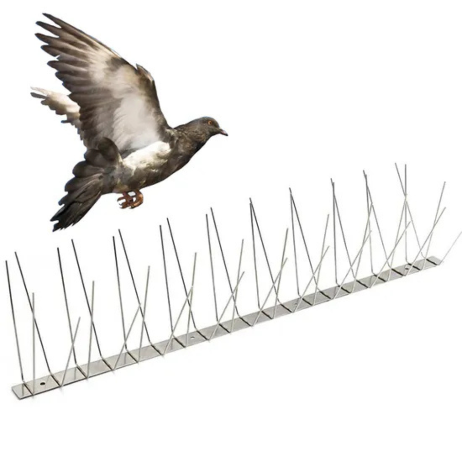 Stainless Steel Bird Spikes 1mtr