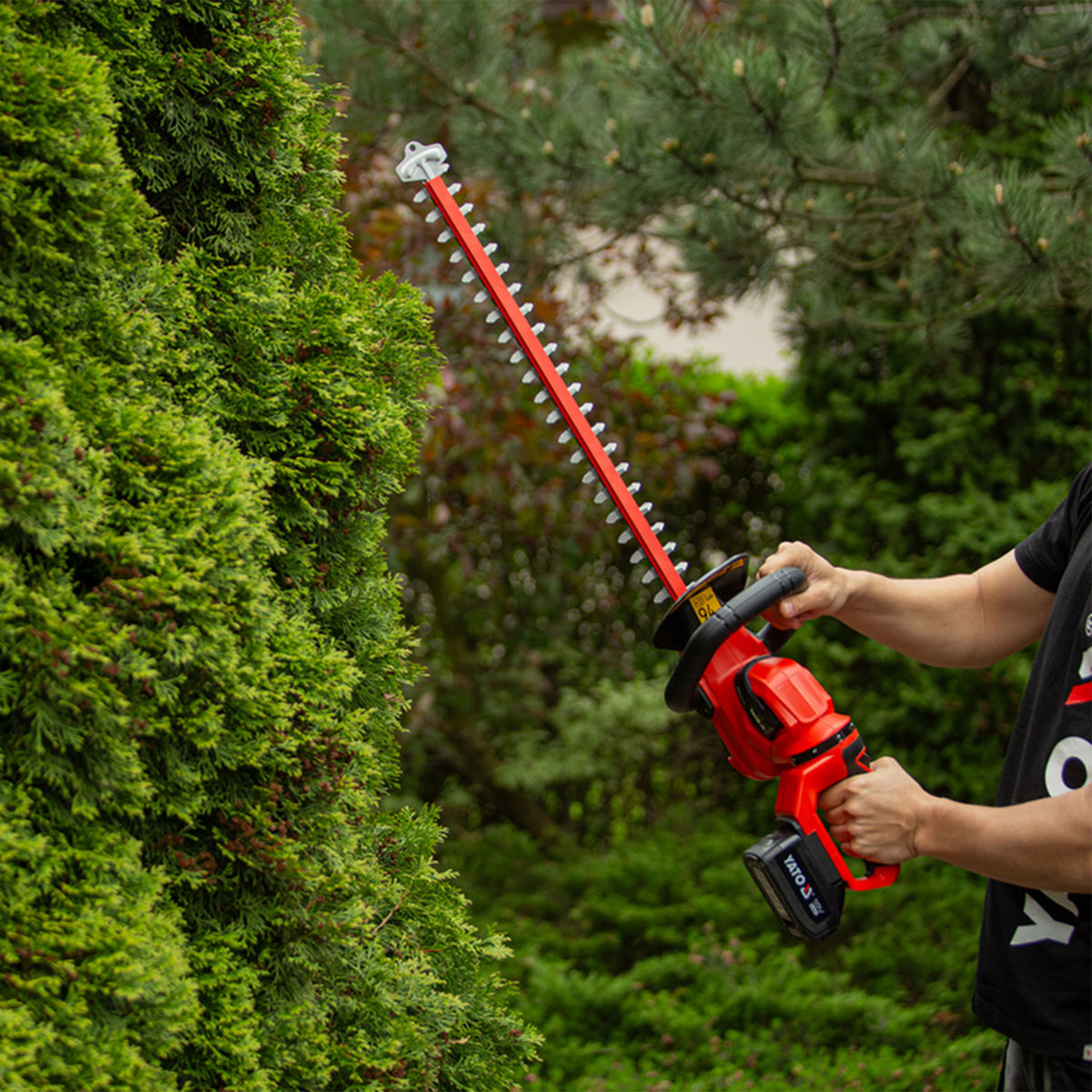 Yato 18V Hedge Trimmer (1X2Amp+Charger) YT-828333